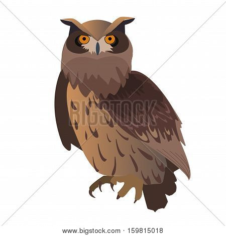Owl Isolated On White