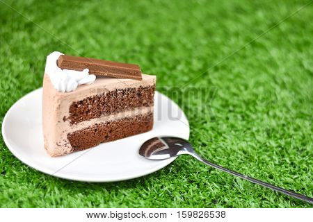 chocolate cake with whip cream and chocolate wafer topping on grass in gardenselective focus.