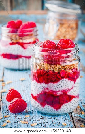 Chia Pudding With Raspberry Sauce, Granola And Fresh Raspberries