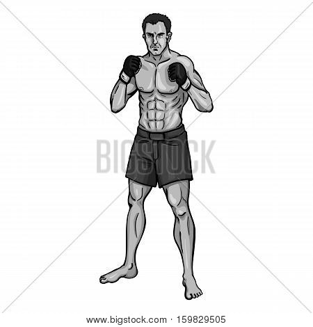 Vector Single Cartoon Mma Fighter