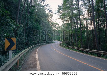 Foggy Straight Redwood Highway in the way to Inthanon mountain Northern Chiangmai Thailand