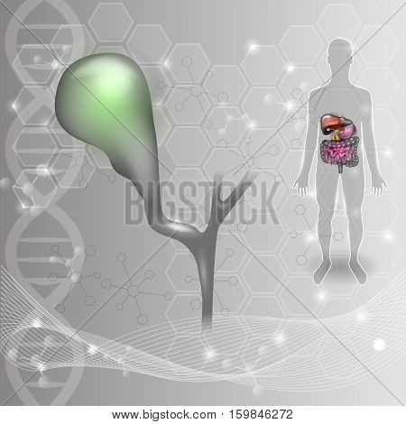 Gallbladder anatomy abstract scientific DNA background and human silhouette