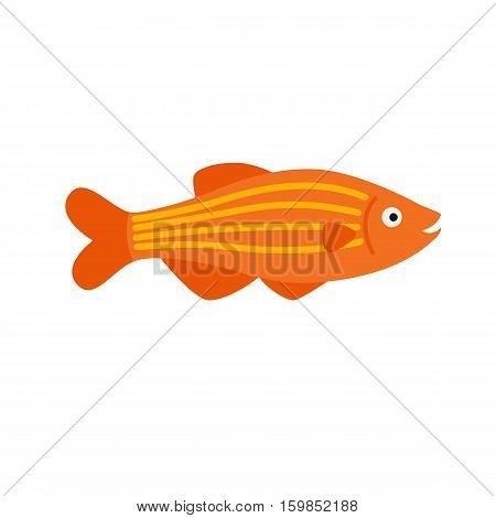 orange fish. striped aquarium exotic fish tropical marine fish. vector