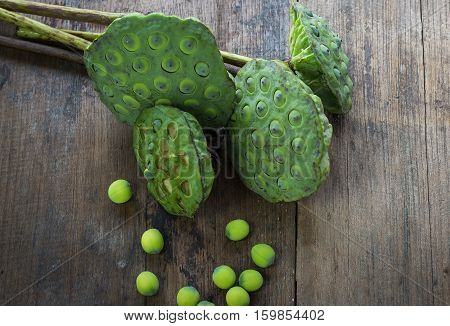 Lotus Seeds And Calyx On Wood Background