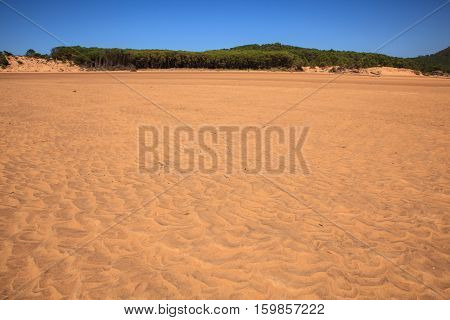 Liencres dunes nature reserve in the Cantabrian sea