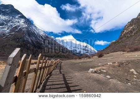 Beautiful wooden wall for Yaks autumn landscape of Daocheng Yading National Park Sichuan China.