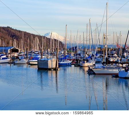 Marina With Boats And Mt.ranier In Tacoma, Wa.
