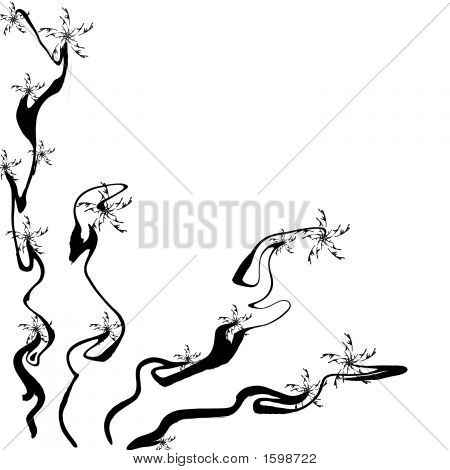 Telaio in bianco e nero