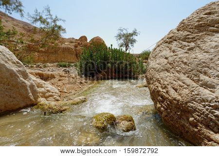Small creek in the desert (Wadi Ibn Hammad in Jordan)