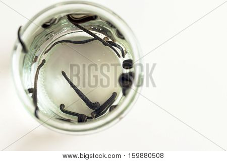 Hirudotherapy. Medical leeches in water before therapy