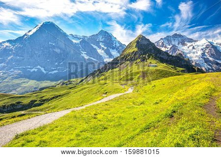 Panorama View To Grindelwald From Mannlichen