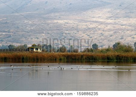 Hula Nature Reserve - a unique wildlife area, which is home to many animals, birds and fish.