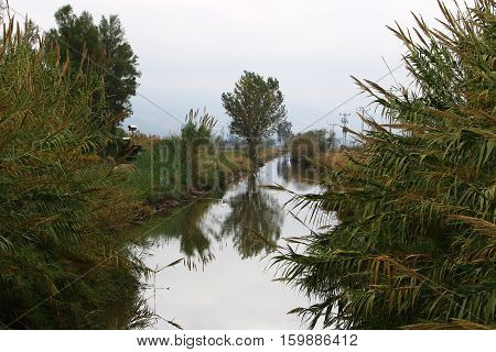 Hula Nature Reserve - a unique wildlife area, which is home to many animals, birds and fish.