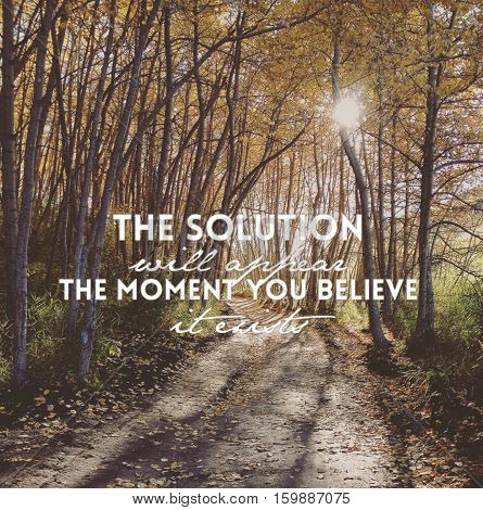 Inspirational quote on forest landscape.  Sunshine through tall skinny tree branches along forest path in autumn season. Green foliage, fallen leaves and shadows on trail. Blurred instagram effects.