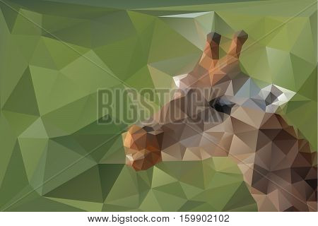 Low poly triangular giraffe head on green polygonal background; modern illustration can be easily separated