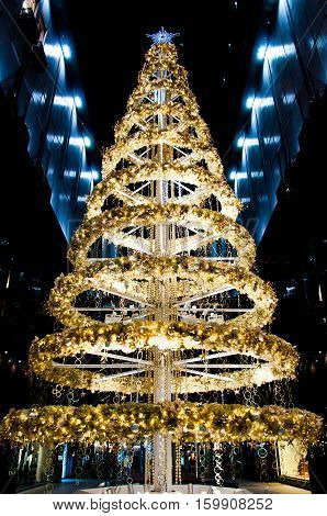Decorated gold and yellow Christmas tree for celerating season
