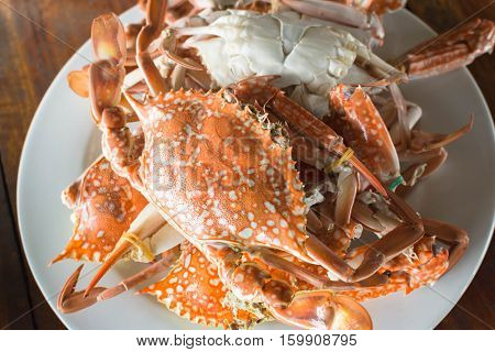 Flower crabs a common crab that are common widely in Thailand.