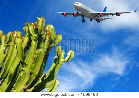 Avião e destino Tropical