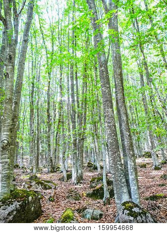 Hdr Monte Amiata
