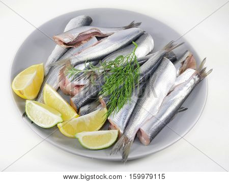 fishes herrings with lemon on a plate