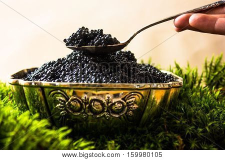 black caviar in a silver bowl with a lemon and a silver spoon on dark wooden background