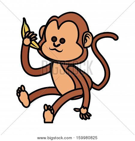 Monkey cartoon icon. Animal wildlife aple and wild theme. Isolated design. Vector illustration
