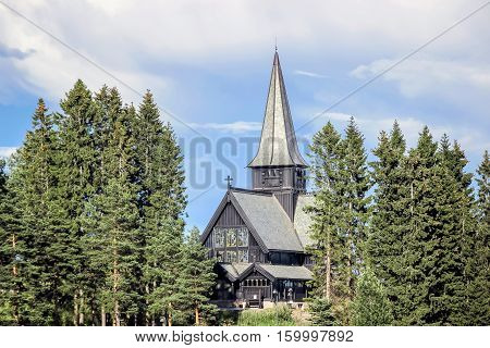 trees around Holmenkollen Kapell chapel in oslo