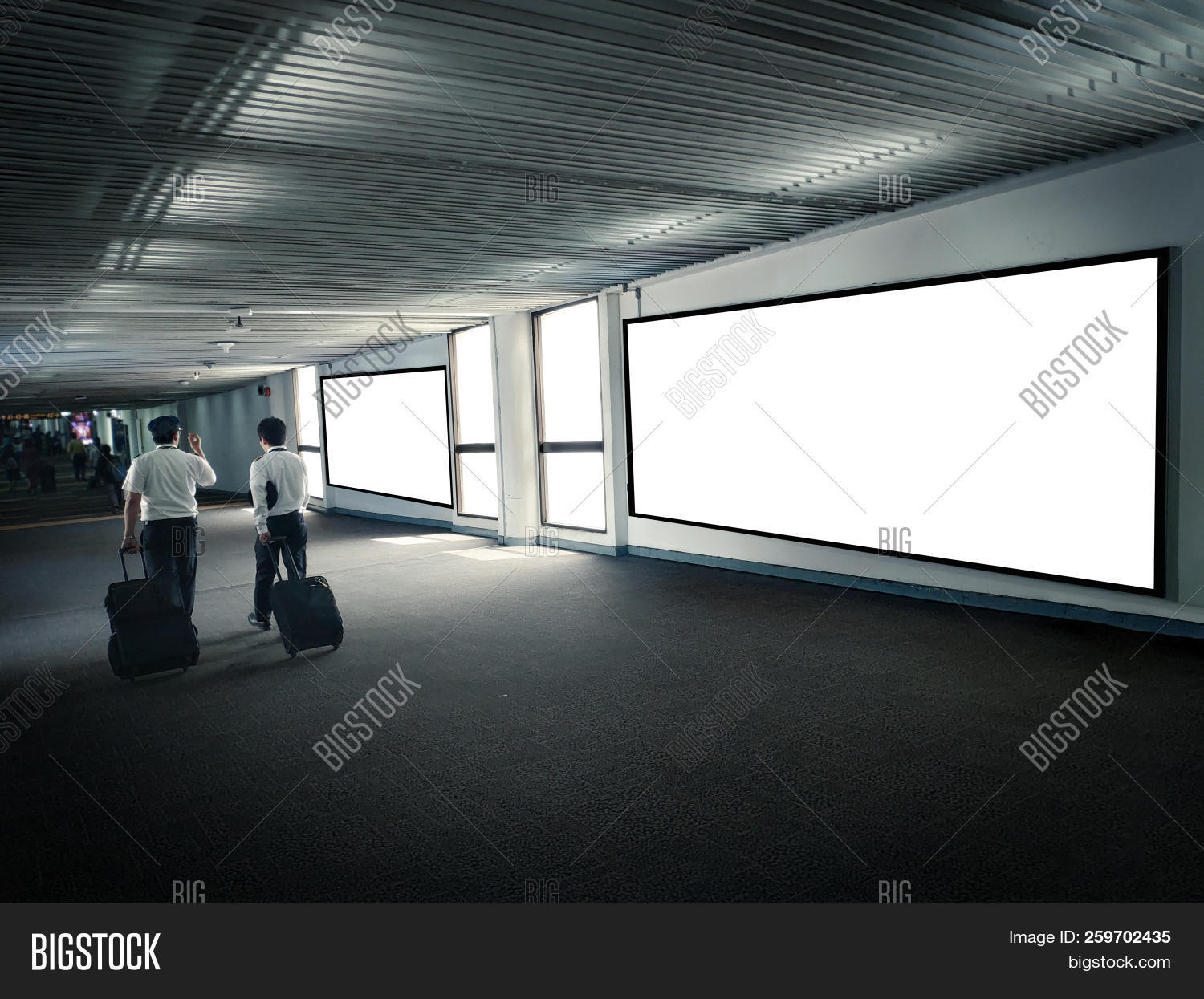 Blank Poster Display Image & Photo (Free Trial) Bigstock