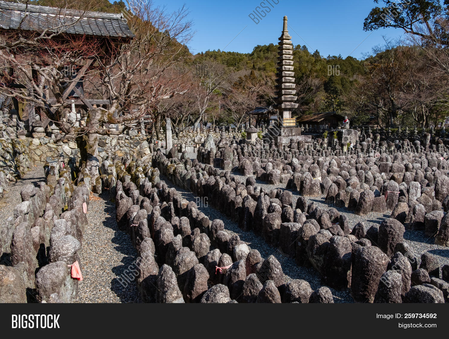 Kyoto Japan 07 Feb Image Photo Free Trial Bigstock