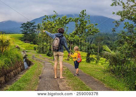 Dad And Son Travelers On Beautiful Jatiluwih Rice Terraces Against The Background Of Famous Volcanoe