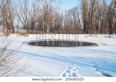 A Small Polynya On A Small Lake On A Sunny Day. Winter Landscape