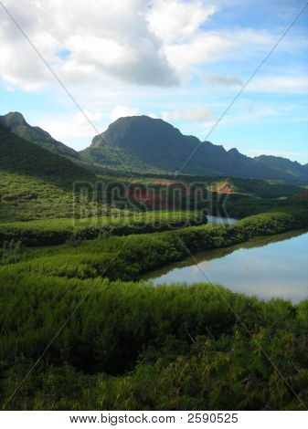 Goldfischglas See Kauai