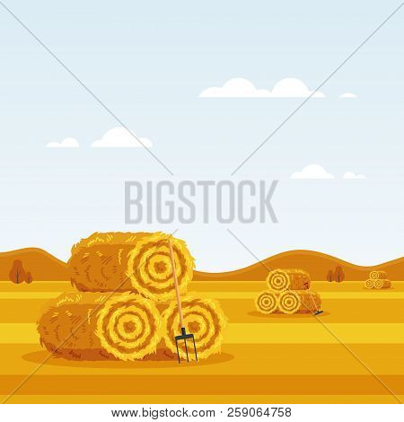 Rural Landscape With Haystacks, Forks On Fields. Flat Dried Haystack With Hayfork. Farming Haymow Ba