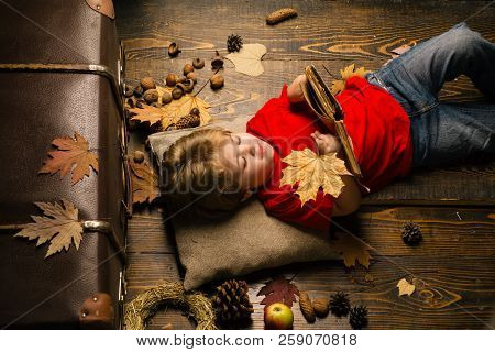 Little Child Boy Lies On A Warm Blanket Dreams Of Warm Autumn. Happy Childhood. Cute Little Child Bo