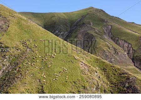 Azerbaijan, Gabala, Caucasian Mountains, Beautiful Scenery From A Height