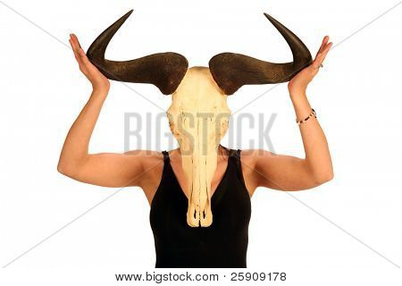 uma jovem mulher detém um crânio de gnus africanos na frente de sua cabeça, isolado no branco
