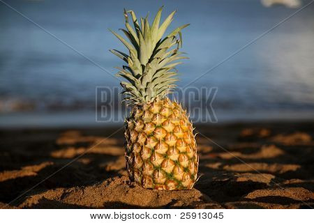 čerstvý ananas obsahuje v písku v ranním slunci s jižním Tichém oceánu v pozadí