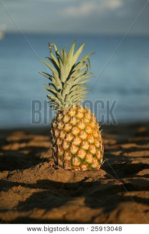 čerstvý ananas obsahuje v písku v ranním slunci s jižním Tichém oceánu v pozadí