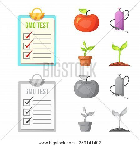 Isolated Object Of  And  Symbol. Collection Of  And  Vector Icon For Stock.