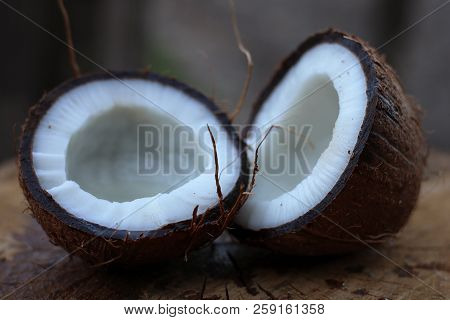 Two Halves Of A Coconut Lie Tree Penek White Brown Coconut Oil