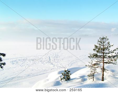 Paysage d'hiver