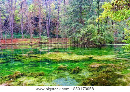Beautiful forest landscape . Bosnia and Herzegovina, public park Vrelo Bosne, near Sarajevo, river Bosna 