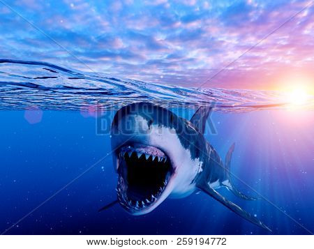 3d rendered illustration of a great white shark
