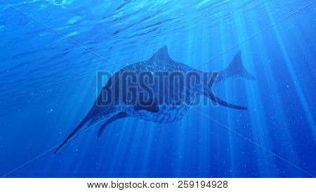 3d rendered illustration of a Shonisaurus