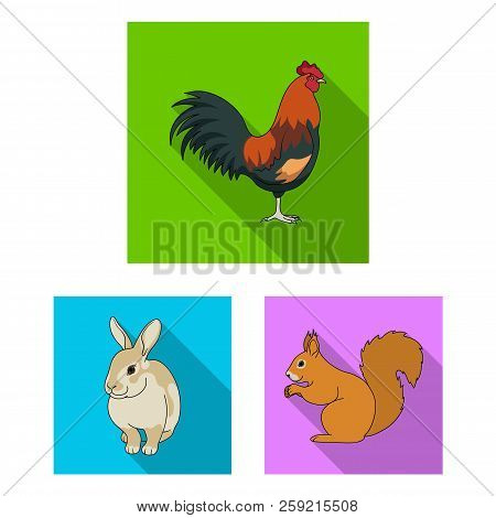 Realistic Animals Flat Icons In Set Collection For Design. Wild And Domestic Animals Vector Symbol S