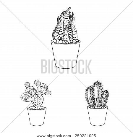 Vector Design Of Cactus And Pot Logo. Set Of Cactus And Cacti Vector Icon For Stock.