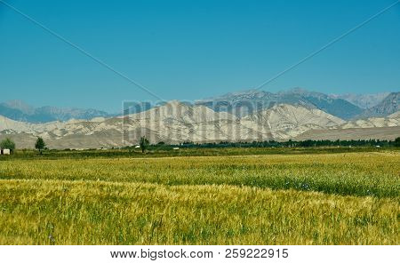 Naryn River Valley