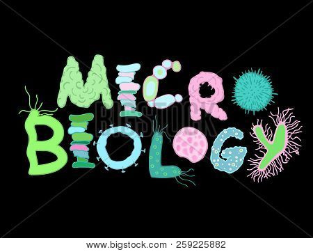 Biological Bacteria Lettering With Microbes And Germs. Unique Hand Drawn Letters For Microbiology De