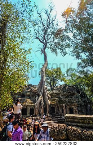 Siemreap/cambodia - February 03 2016:giant Tree And  Blue Sky With Tourist In Ta Phom Temple Siem Re