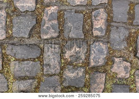 Detail Of The Famous Cobbelstone Road Located In The Forest Of Arenberg In North Of France. On Such 